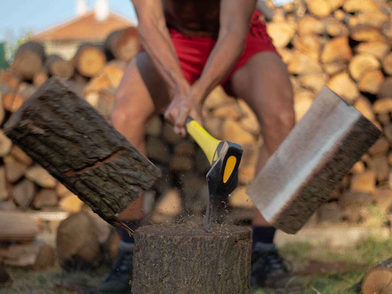 Tree Root Removal in Huron, SD